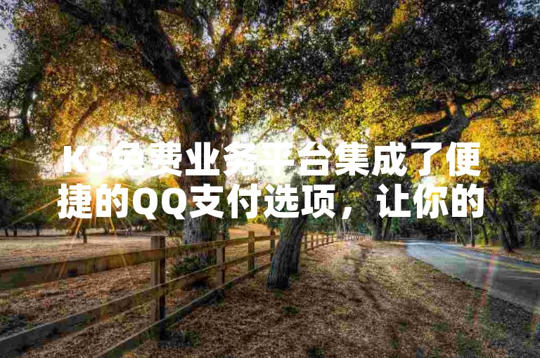 KS免费业务平台集成了便捷的QQ支付选项，让你的线上交易管理更加高效。