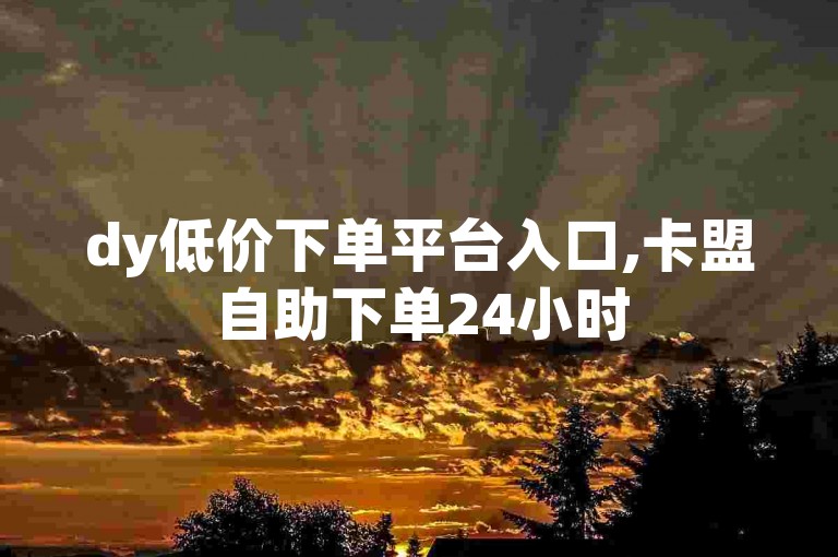 dy低价下单平台入口,卡盟自助下单24小时