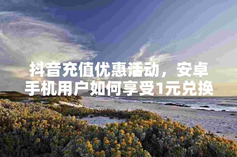 抖音充值优惠活动，安卓手机用户如何享受1元兑换10抖币的超值比例 - 探索抖币充值的便捷途径 - 学习使用微信支付进行快手钱包的充值操作。