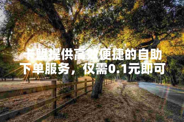 卡盟提供高效便捷的自助下单服务，仅需0.1元即可获得一万赞的超值体验。