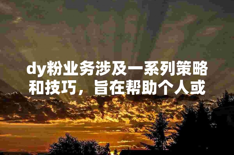 dy粉业务涉及一系列策略和技巧，旨在帮助个人或品牌在抖音平台上快速增长粉丝群体。