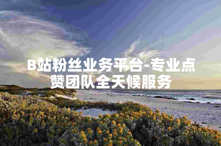 B站粉丝业务平台-专业点赞团队全天候服务
