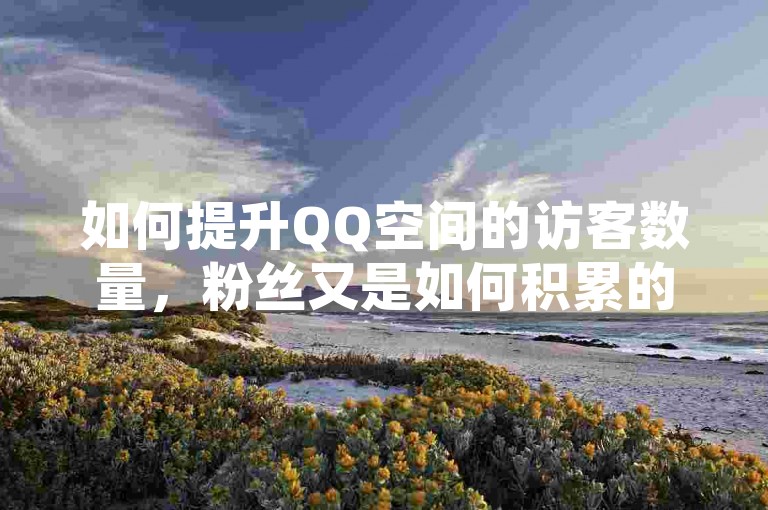 如何提升QQ空间的访客数量，粉丝又是如何积累的呢？通过快手下单自助服务以及QQ空间访客一万网站可以快速增加。