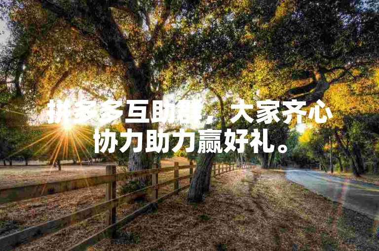 拼多多互助群，大家齐心协力助力赢好礼。