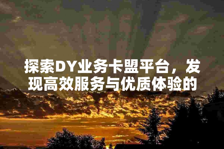 探索DY业务卡盟平台，发现高效服务与优质体验的完美结合。