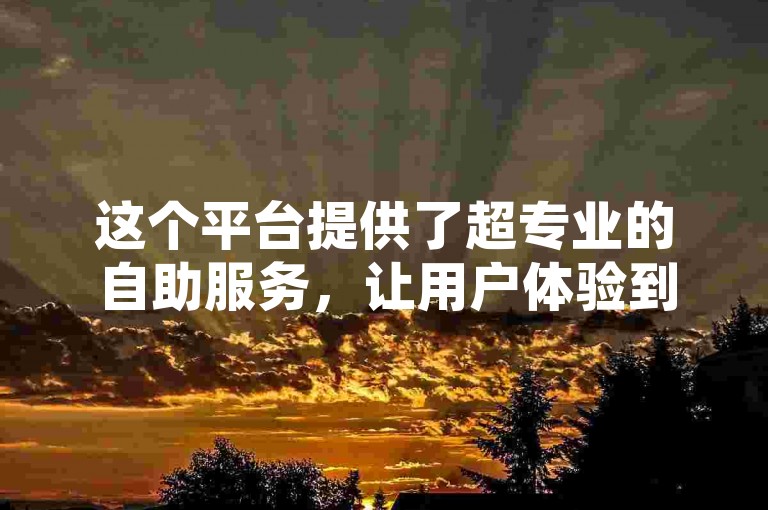 这个平台提供了超专业的自助服务，让用户体验到了超越常规水平的便捷与高效。