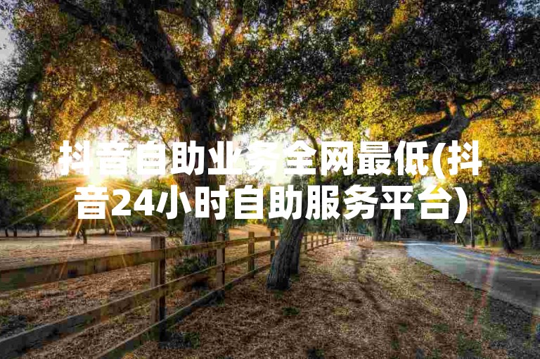 抖音自助业务全网最低(抖音24小时自助服务平台)