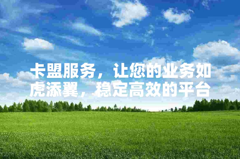 卡盟服务，让您的业务如虎添翼，稳定高效的平台为您的需求保驾护航。
