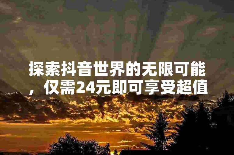 探索抖音世界的无限可能，仅需24元即可享受超值业务服务，限时优惠，不容错过！