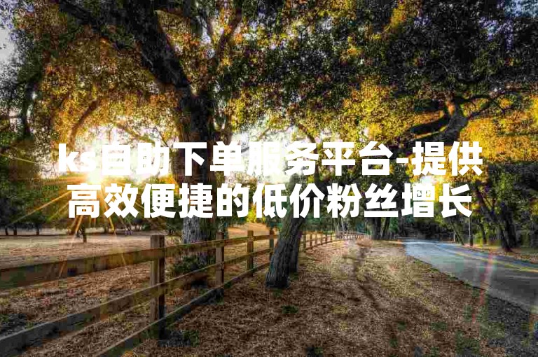 ks自助下单服务平台-提供高效便捷的低价粉丝增长解决方案。