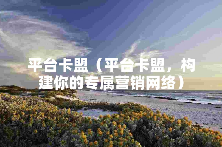 平台卡盟（平台卡盟，构建你的专属营销网络）