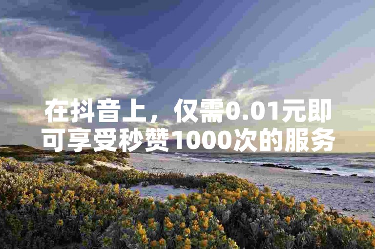 在抖音上，仅需0.01元即可享受秒赞1000次的服务，同时提供24小时免费图文下单，让你的房产装修内容快速获得关注。