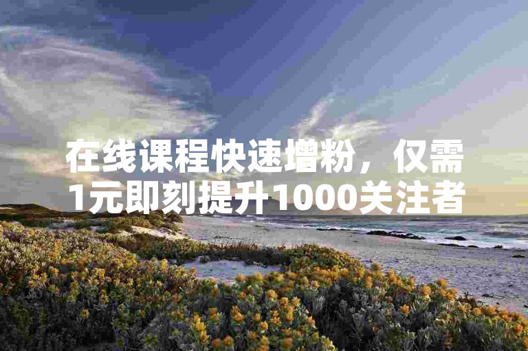 在线课程快速增粉，仅需1元即刻提升1000关注者。