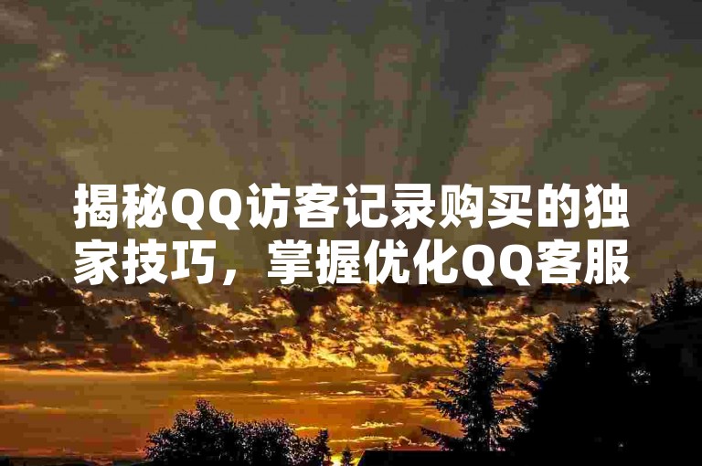 揭秘QQ访客记录购买的独家技巧，掌握优化QQ客服访客记录的最佳实践，成为2025年必备技能！