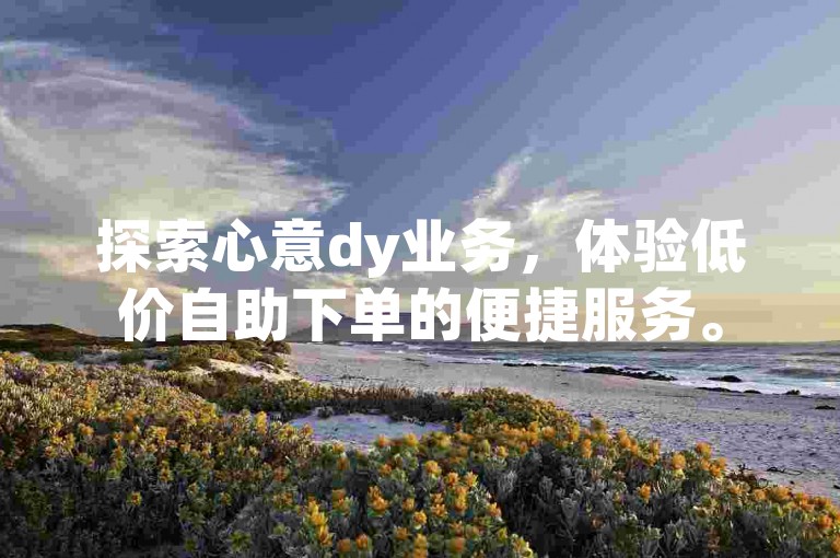 探索心意dy业务，体验低价自助下单的便捷服务。