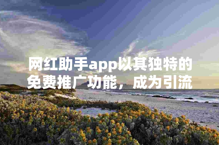网红助手app以其独特的免费推广功能，成为引流平台中的佼佼者，专为内容创作者设计，以助力他们迅速扩大影响力。