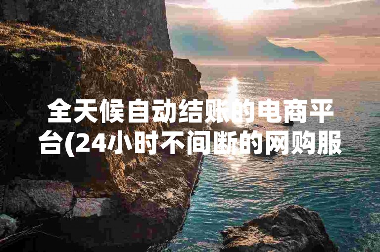 全天候自动结账的电商平台(24小时不间断的网购服务)。