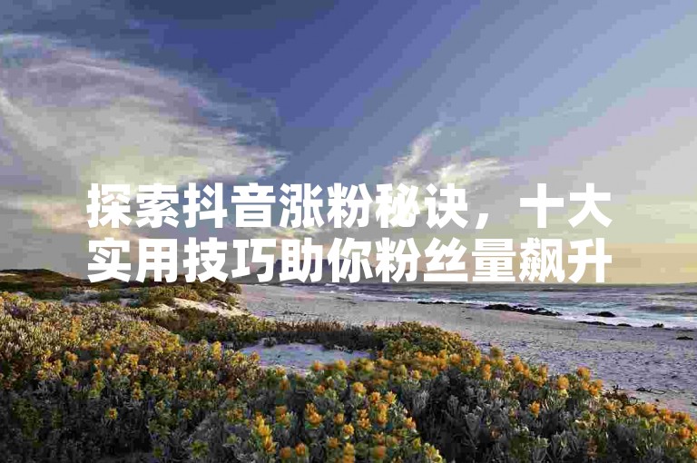 探索抖音涨粉秘诀，十大实用技巧助你粉丝量飙升。