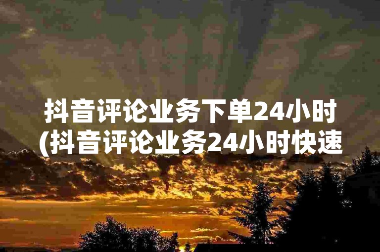 抖音评论业务下单24小时(抖音评论业务24小时快速下单攻略)
