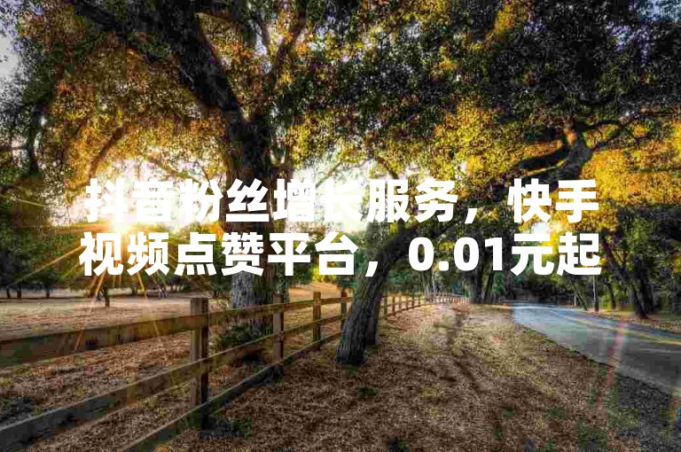 抖音粉丝增长服务，快手视频点赞平台，0.01元起享受自助式房地产装饰推广。
