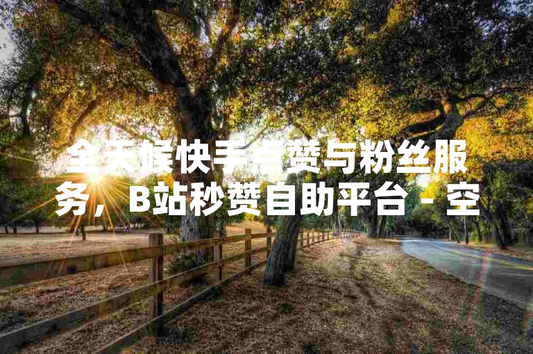 全天候快手点赞与粉丝服务，B站秒赞自助平台 - 空间业务自助下单 - 王者货源发卡网。