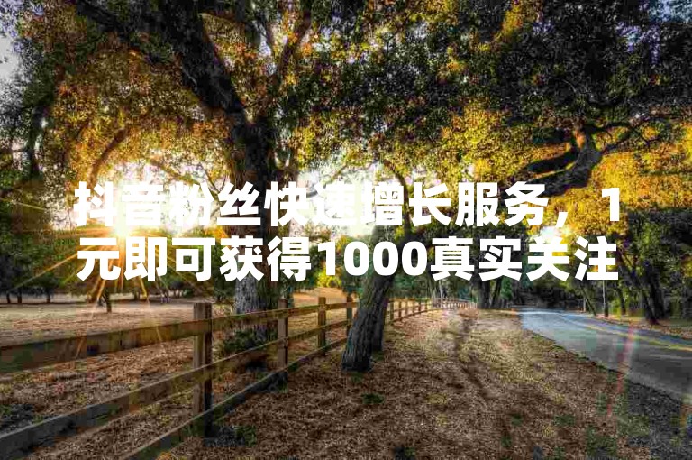 抖音粉丝快速增长服务，1元即可获得1000真实关注，自助操作便捷高效。