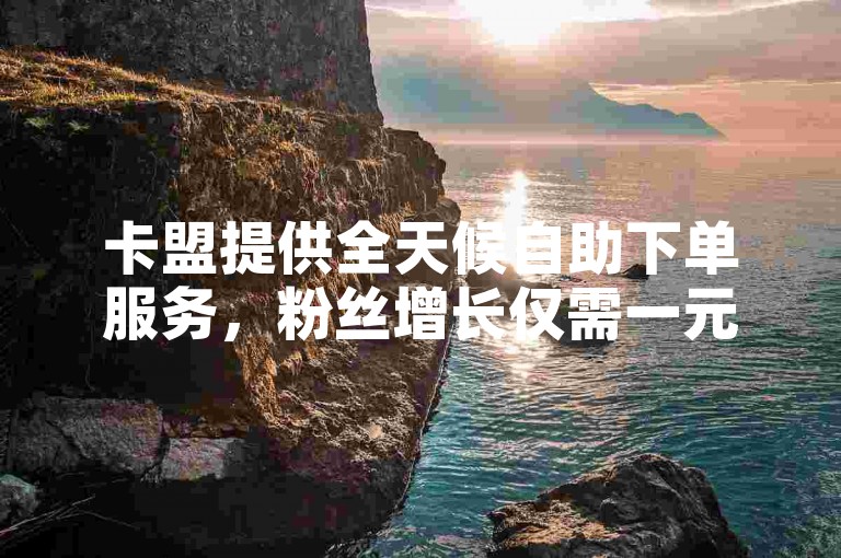 卡盟提供全天候自助下单服务，粉丝增长仅需一元起。