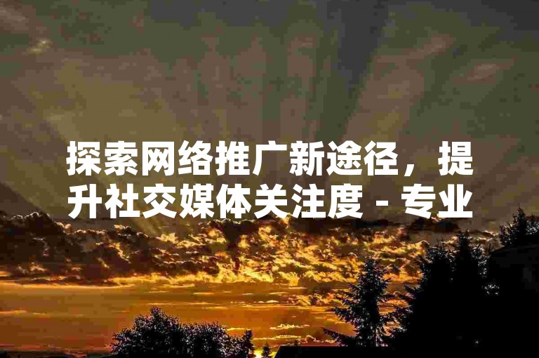 探索网络推广新途径，提升社交媒体关注度 - 专业增加微博粉丝服务 - 安全可靠的抖音账号交易平台。