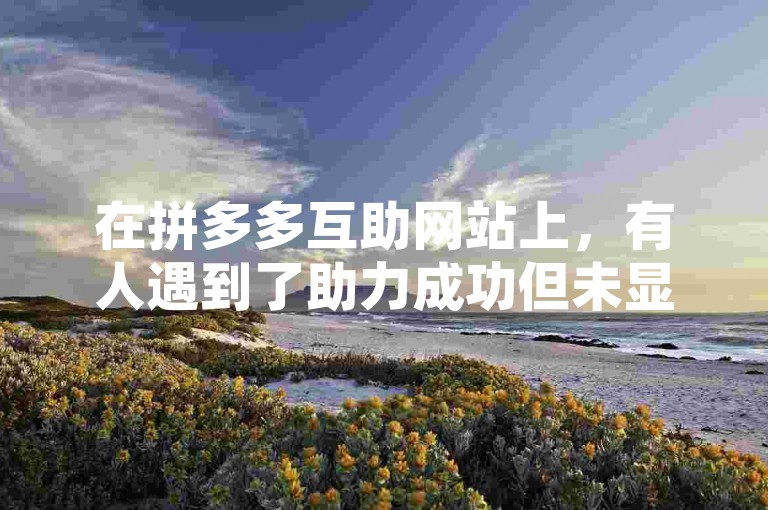 在拼多多互助网站上，有人遇到了助力成功但未显示的问题，该如何解决呢？