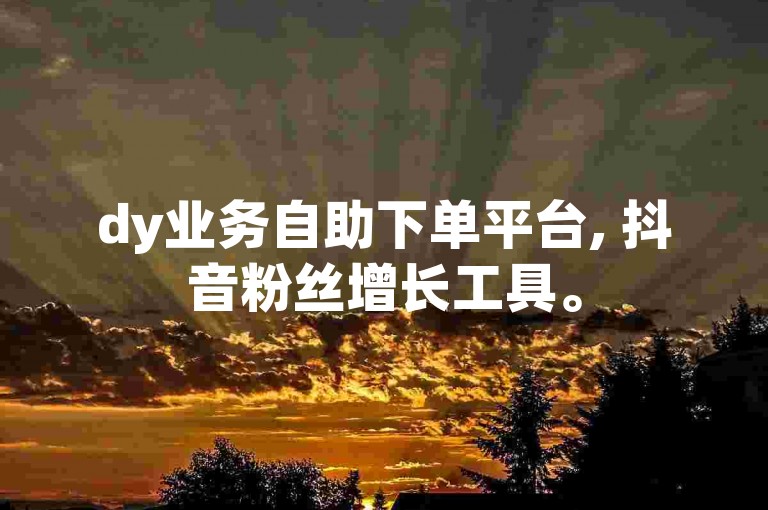 dy业务自助下单平台, 抖音粉丝增长工具。