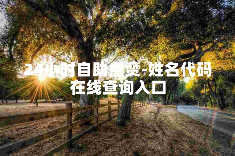 24小时自助点赞-姓名代码在线查询入口