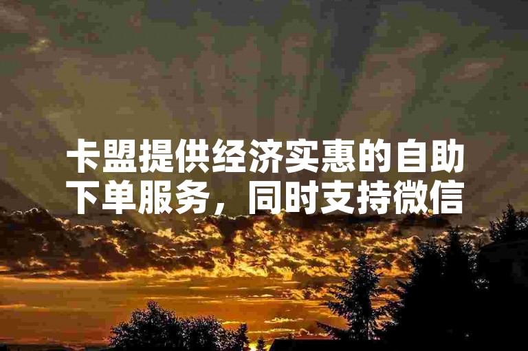 卡盟提供经济实惠的自助下单服务，同时支持微信投票助力。
