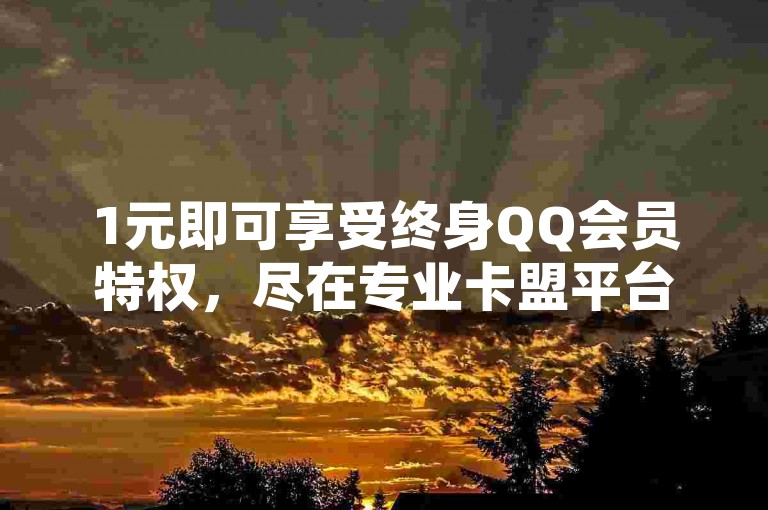 1元即可享受终身QQ会员特权，尽在专业卡盟平台。