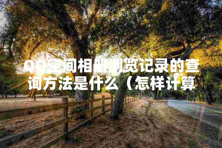 QQ空间相册浏览记录的查询方法是什么（怎样计算QQ空间相册的浏览次数）。