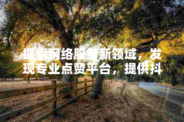 探索网络服务新领域，发现专业点赞平台，提供抖音号增粉与快手粉丝速成服务。
