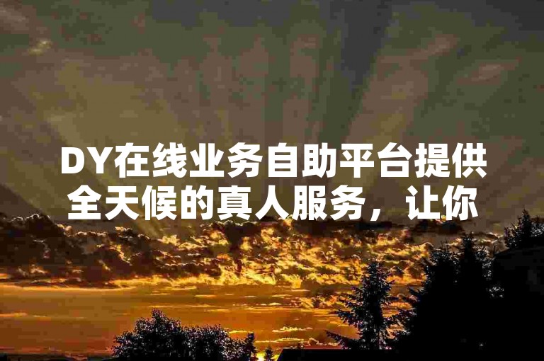 DY在线业务自助平台提供全天候的真人服务，让你轻松下单。