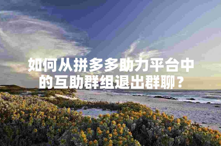 如何从拼多多助力平台中的互助群组退出群聊？