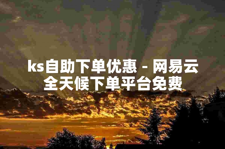 ks自助下单优惠 - 网易云全天候下单平台免费