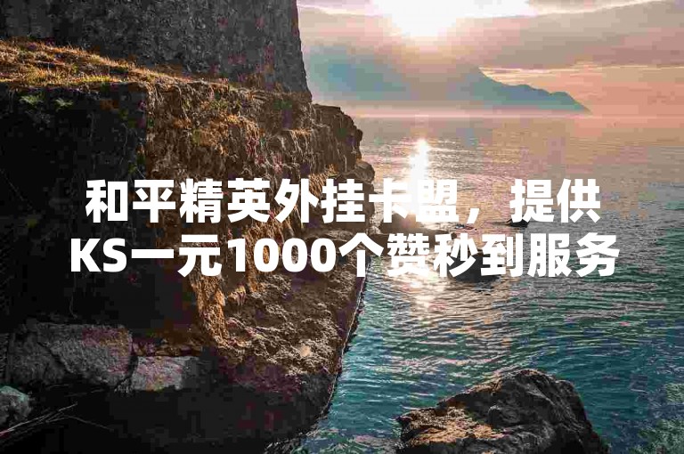 和平精英外挂卡盟，提供KS一元1000个赞秒到服务。