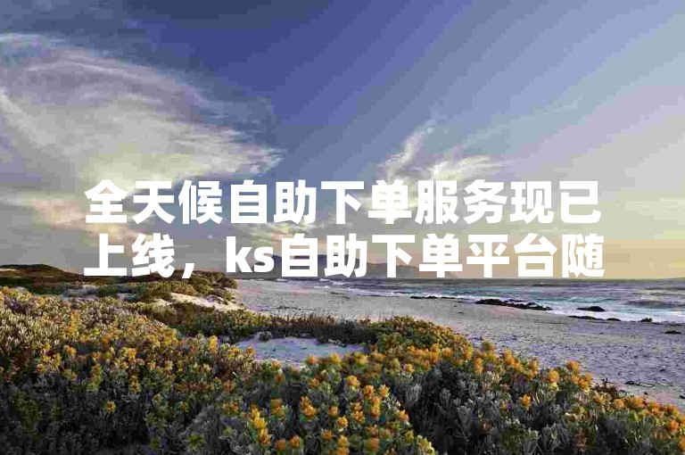 全天候自助下单服务现已上线，ks自助下单平台随时待命。