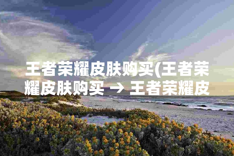 王者荣耀皮肤购买(王者荣耀皮肤购买 → 王者荣耀皮肤交易)。