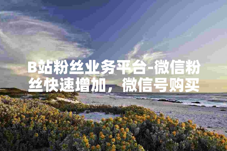 B站粉丝业务平台-微信粉丝快速增加，微信号购买渠道。