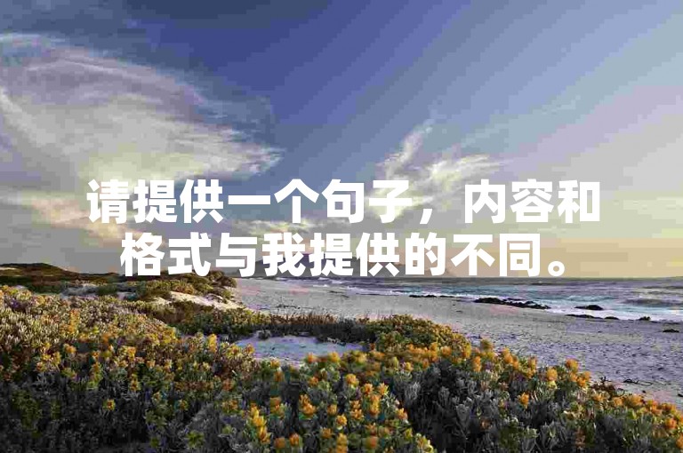 请提供一个句子，内容和格式与我提供的不同。