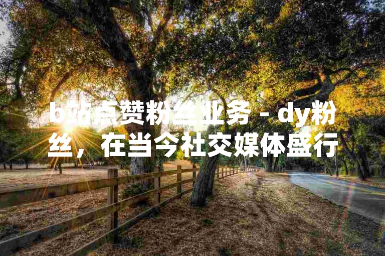 b站点赞粉丝业务 - dy粉丝，在当今社交媒体盛行的时代，B站和抖音作为两大热门平台，其粉丝数量和点赞量成为衡量内容影响力的重要指标。