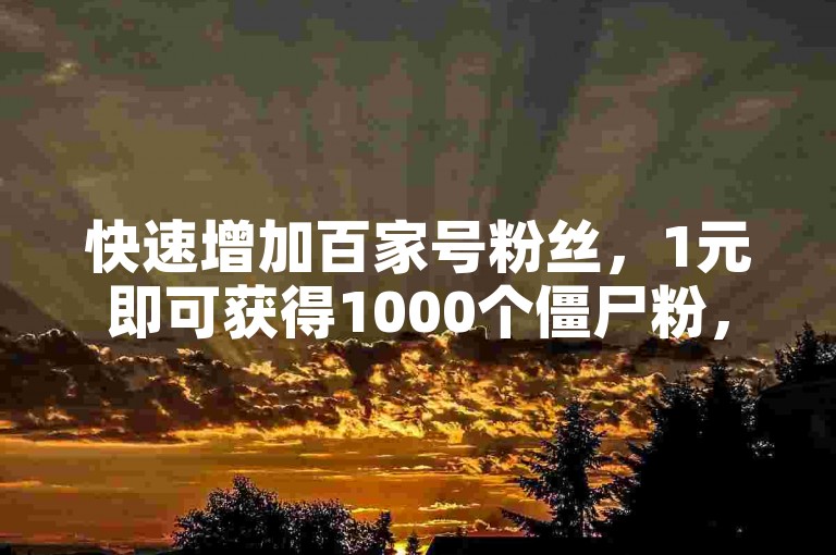 快速增加百家号粉丝，1元即可获得1000个僵尸粉，24小时服务，下单即享。