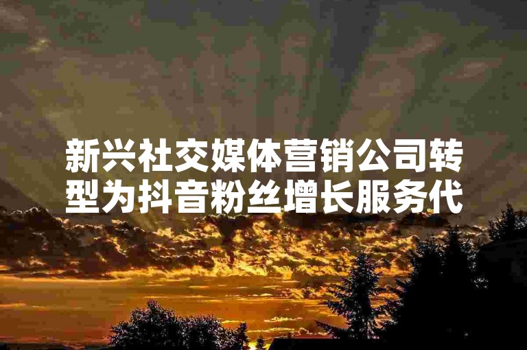 新兴社交媒体营销公司转型为抖音粉丝增长服务代理商，助力品牌快速提升影响力。