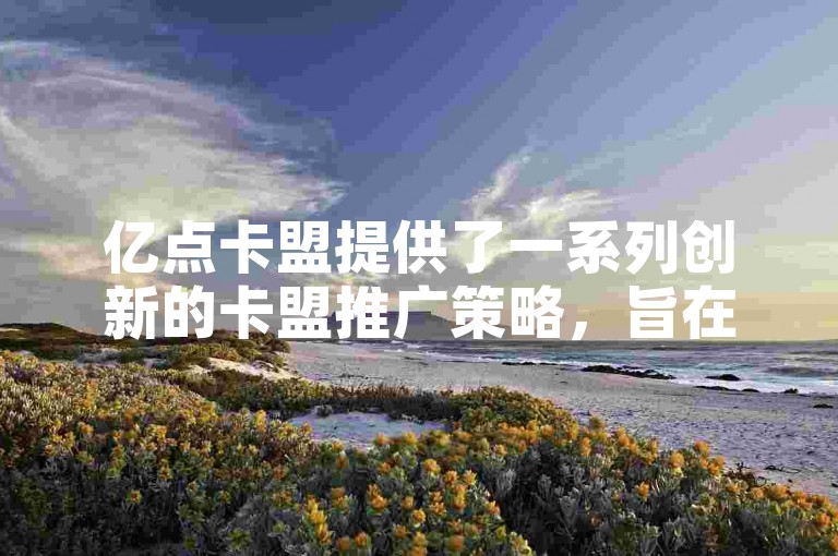 亿点卡盟提供了一系列创新的卡盟推广策略，旨在帮助用户有效提升业务影响力。