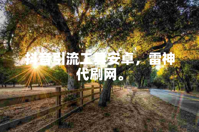 抖音引流工具安卓，雷神代刷网。