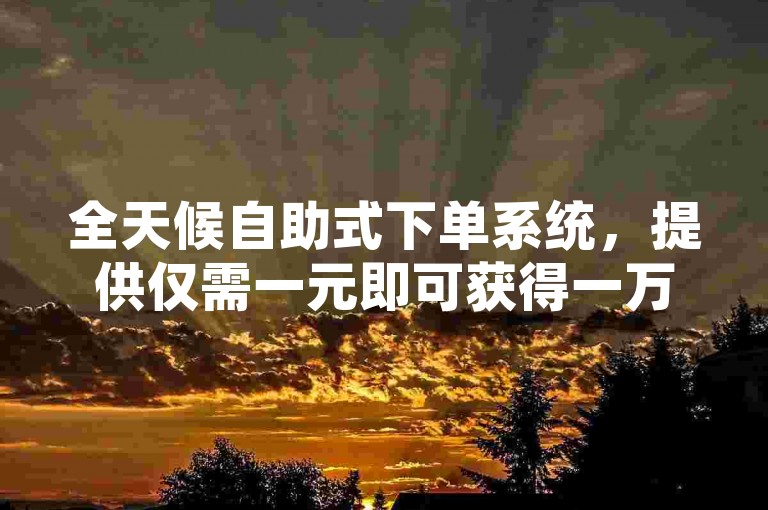 全天候自助式下单系统，提供仅需一元即可获得一万点赞的高效服务。