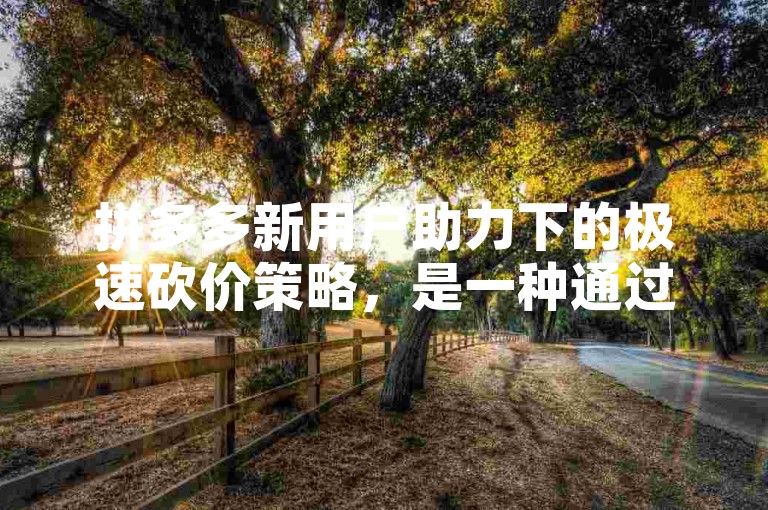 拼多多新用户助力下的极速砍价策略，是一种通过邀请新用户参与砍价活动来快速降低商品价格的营销手段。